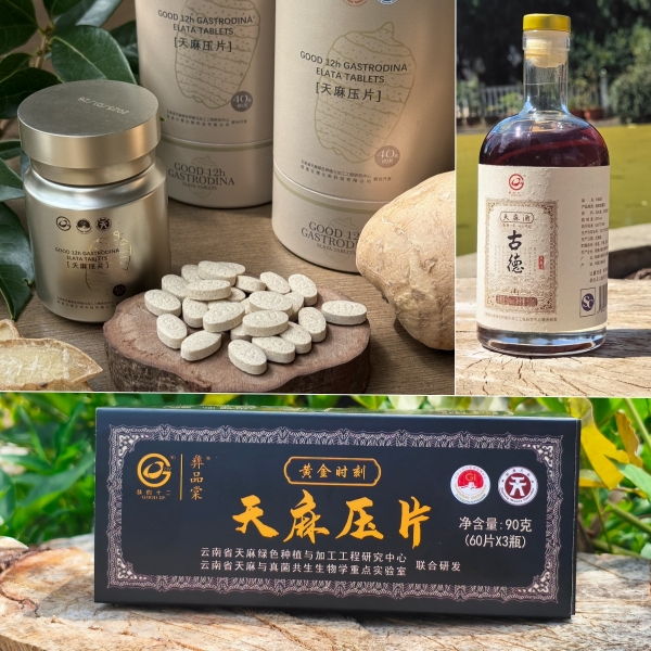 昭通仿野生天麻功效解密:古德生物以科技激活自然康养力 昭通仿野生天麻功效解密:古德生物以科技激活自然康养力