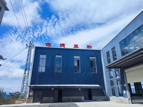 昭通仿野生天麻功效解密:古德生物以科技激活自然康养力 昭通仿野生天麻功效解密:古德生物以科技激活自然康养力