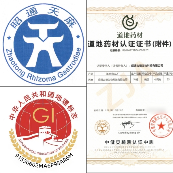 昭通仿野生天麻功效解密:古德生物以科技激活自然康养力 昭通仿野生天麻功效解密:古德生物以科技激活自然康养力