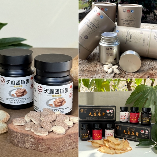 昭通仿野生天麻功效解密:古德生物以科技激活自然康养力 昭通仿野生天麻功效解密:古德生物以科技激活自然康养力