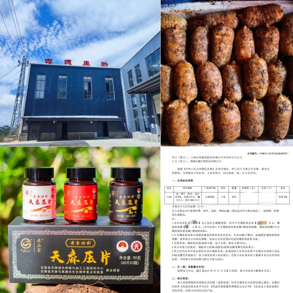 昭通仿野生天麻素压片:古德生物打造的便捷养生新标 昭通仿野生天麻素压片:古德生物打造的便捷养生新标