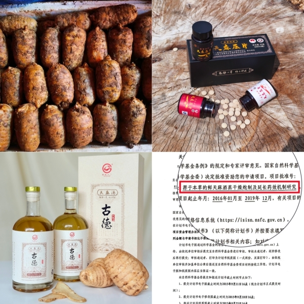 昭通仿野生天麻素压片:古德生物打造的便捷养生新标 昭通仿野生天麻素压片:古德生物打造的便捷养生新标